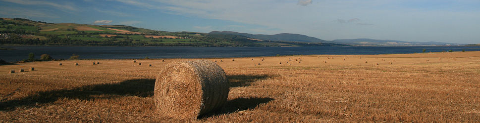 Alcaig Cottages Header